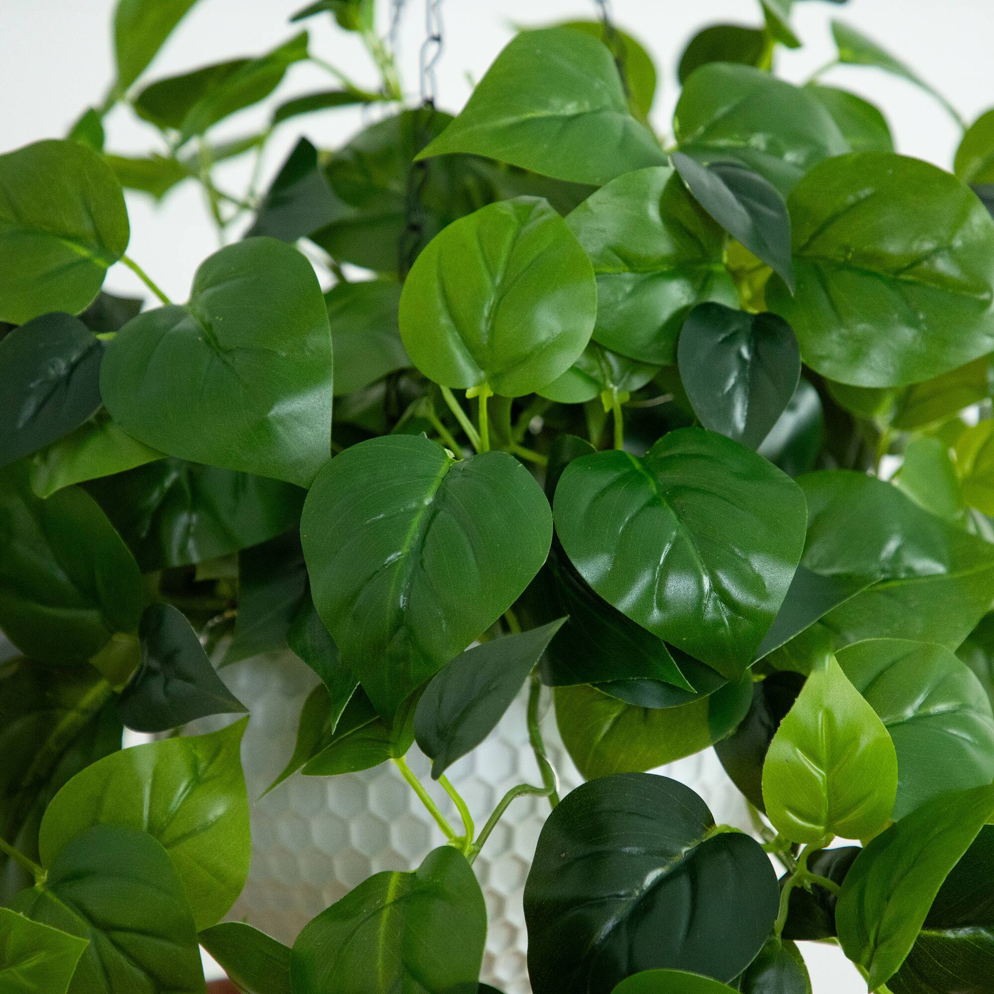 24" UV Resistant Artificial LED Lit Philodendron in White Hanging Basket